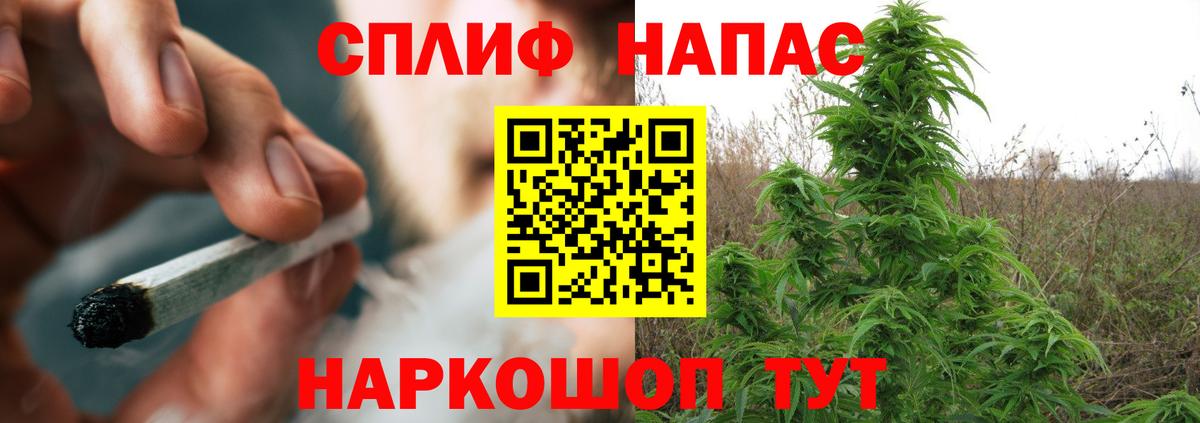 Конопля AK-47  Конопля THC 21%  Вход с VPN  Шишки марихуана планчик  Михайловка 